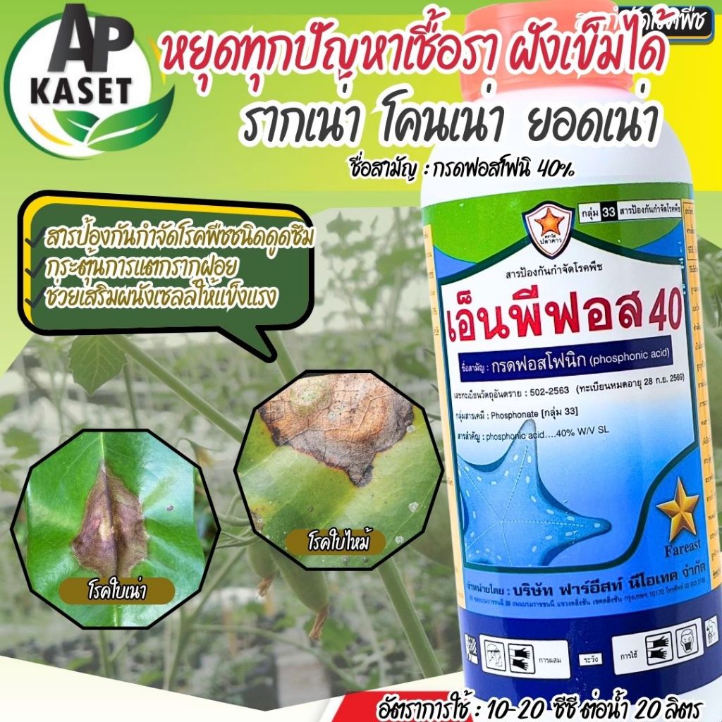 พร้อมส่ง โปร 1 แถม 1 เอ็นพีฟอส 40 ยาเชื้อรา สารกรดฟอสโฟนิค ทาแผล ฝังเข็ม ป้องกัน ใบแห้ง ยอดเน่า ผลเน่า ขนาด 1 ลิตร - รูปที่ 5