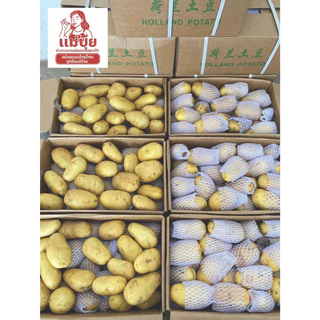 พร้อมส่ง‼️[ยกลัง] มันฝรั่ง #แม่ปุ้ย [10 กก./ลัง] หัวโตๆเน้นๆ สดทุกวัน หัวแน่นทุกถุง หวานธรรมชาติ อร่อยมั่นใจทุกเมนู🥔