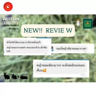 มายล ทิมโมธี เกรดกระต่าย คุณภาพดีที่สุด 1 กิโลกรัม