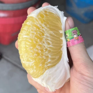 [พร้อมส่ง SETรสจัดจุใจ] ส้มโอ ผิวไม่สวย ขรุขระ ขาวใหญ่ ขาวน้ำผึ้ง ทองดี รสเข้ม รับประกันเนื้อ 7-9/ลูก ขีด