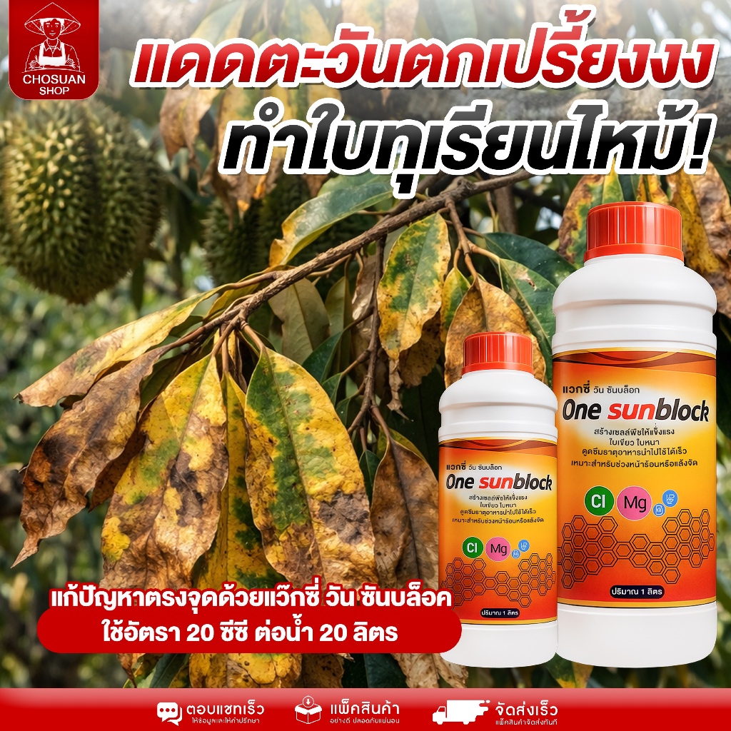 แว๊กซี่ วัน ซันบล็อก ป้องกันแดดพืช แก้แดดตะวันตก ลดใบทุเรียนไหม้ ใบเหลือง ใบร่วง ฟื้นฟูต้นโทรม เสริมสร้างความแข็งแรง