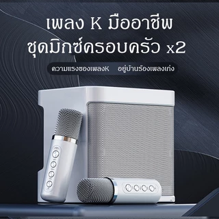 ลำโพงบลูทูธพร้อมไมโครโฟนคู่ YS-203สำหรับร้องเพลงคาราโอเกะ
