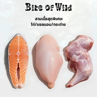 (60g) Bite Of Wild ขนมแมวเลีย โปรตีนสูงและโภชนาการสูง สำหรับช่วยย่อยอาหาร