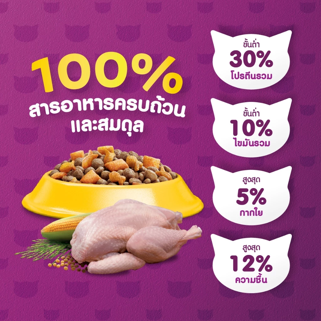 WHISKAS วิสกัส อาหารเม็ดแมวสำหรับแมวโต 1.2 กก. thumbnail 6