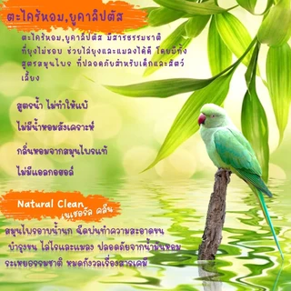 ์Natural Clean ตะไคร้หอมผสมยูคาลิปตัสออแกนิคอาบน้ำนก ทำความสะอาดขน ไล่ไร หมัด / น้ำยาถูพื้น ตะไคร้หอม ยูคาลิปตัส ไล่แมลง