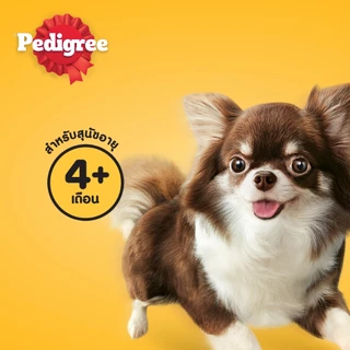 PEDIGREE เพดดิกรี ขนมสุนัข เทสตี้ ไบทส์ ครันชี่ พ็อกเก็ต รสนม/ รสไก่/ รสแกะ/ รสเนื้อ 60ก.