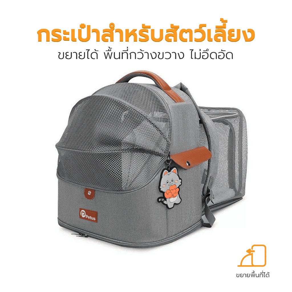 กระเป๋าสัตว์เลี้ยง กระเป๋าใส่แมว Pet Backpack carrier แผ่นรองนุ่ม ถอดซักได้ ระบายอากาศดี ลดความอับชื้น Petus pet รูปที่ 8