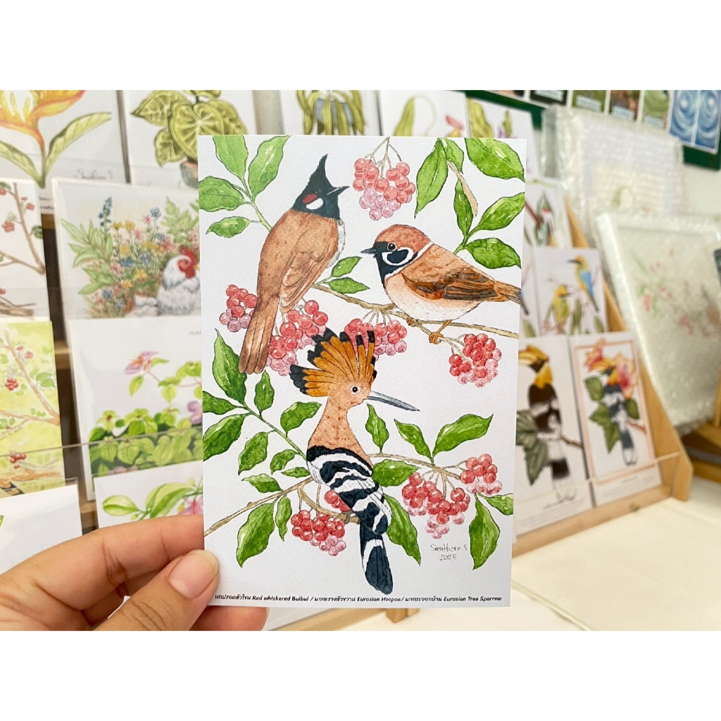ภาพโปสการ์ด “นกตัวน้อย” ใช้ตกแต่งบ้านหรือมอบเป็นของขวัญให้คนพิเศษ