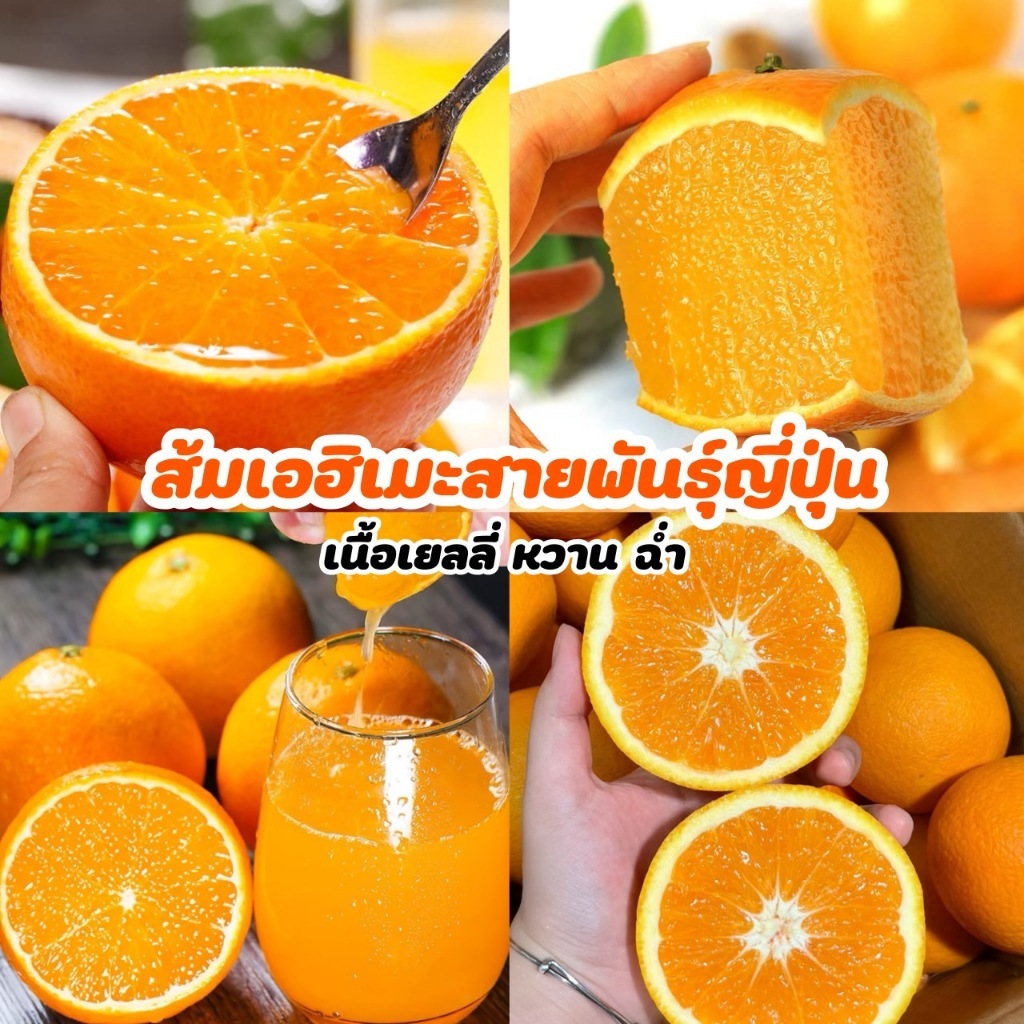 🍊ส้มเอฮิเมะสายพันธุ์ญี่ปุ่น 1kg เนื้อเยลลี่ หวานฉ่ำ น้ำเยอะ Ehime Orange