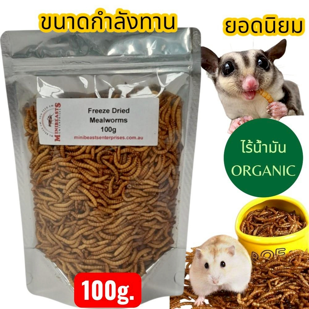 หนอนนกอบแห้ง ขนาด 30g. [พร้อมส่ง]