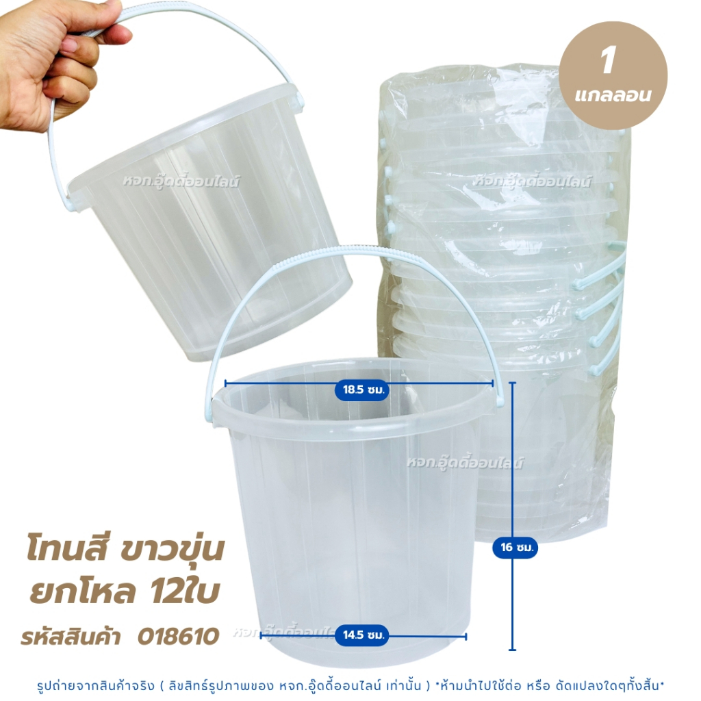 ถังน้ำ ถังหูหิ้วพลาสติก ถังน้ำเล่นสงกรานต์ 12 ใบ มี 7 ตัวเลือก ถังน้ำแข็ง 0.5- 1 GL ถ้งน้ำแข็งเล็ก