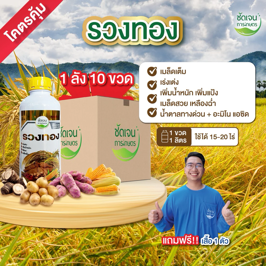 รวงทอง (ยกลัง10 ขวดแถมเสื้อ1 ตัว)เร่งเต่งเพิ่มน้ำหนัก เมล็ดสีสวยฉ่ำ ข้าวออกเสมอกัน