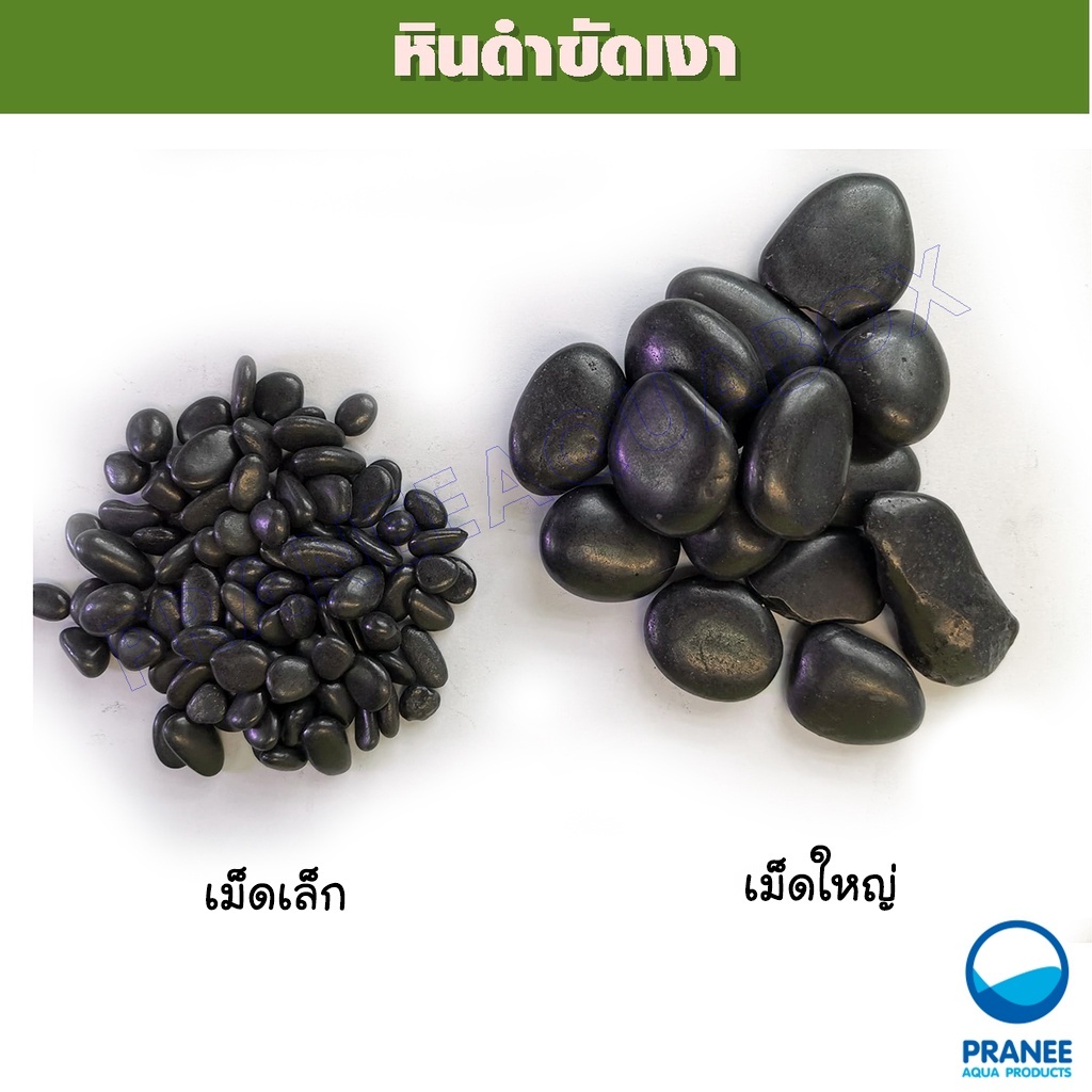 หินดำกลมมนขัดเงา ใช้ตกแต่งตู้ปลา