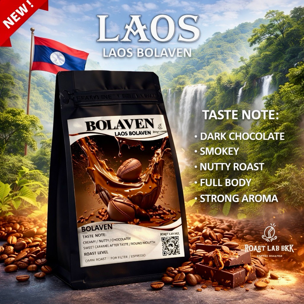 Roast.Lab.BKK เมล็ดกาแฟ Laos Bolaven Premium AA เมล็ดกาแฟลาวโบลาเวน จากที่ราบสูง สปป ลาว