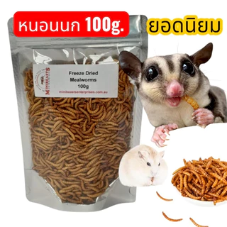 หนอนนกอบแห้ง 100 กรัม เป็นอาหารเสริมโปรตีนสำหรับสัตว์เลี้ยง มีโปรตีนที่สูง ไขมันต่ำ ส่งด่วนทุกวัน