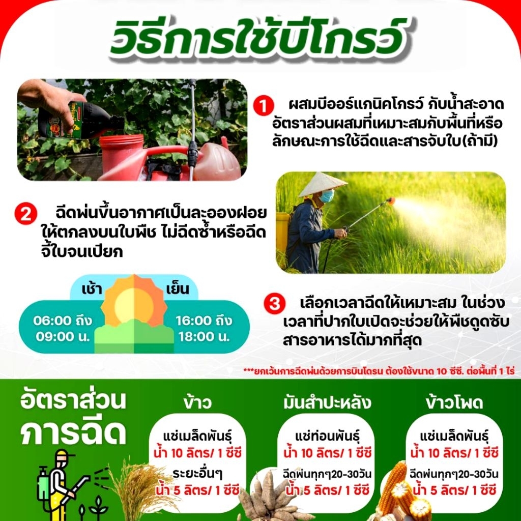 บีโกรว์ ฮอร์โมนพืช เร่งโต ใบเขียว ป้องกันโรคและแมลง ของแท้ ส่งฟรี [2 แถม 3] - รูปที่ 3