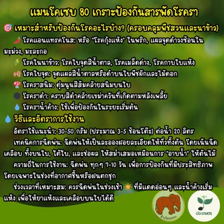 แมนโคเซบ 80 (100กรัม/500กรัม/1กิโลกรัม) ยาเชื้อราสร้างเกราะป้องกันโรคพืช ป้องกันโรคแอนแทรคโนส ใบจุด ราดำ ราสนิม