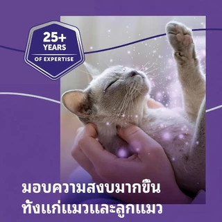 Feliway (ชนิดปลั๊กเสียบ​) ฟีโรโมนสังเคราะห์​ ลดอารมณ์ก้าวร้าว 48ml​ ใช้ได้​ 30​ วัน