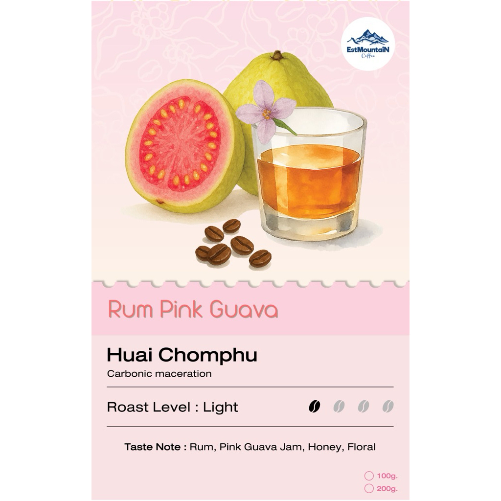 เมล็ดกาแฟ คั่วอ่อนรัมฝรั่งชมพู Rum Pink Guava