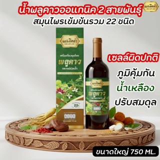 น้ำพลูคาวสูตร2 สายพันธุ์แม่เลิศล้ำ สมุนไพร 22 ชนิด เครื่องดื…