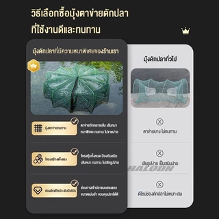 HALODN ตาข่าย ที่ดักกุ้งฝอย มุ้งดักปลา พับเก็บได้ กระชังดักปลา 6/8/10/16 ช่อง หกเหลี่ยม มุ้งดั