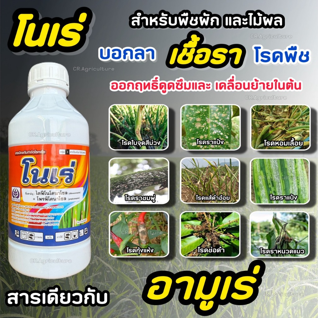 โนเร่ สารเดียวกับ อามูเร่ ไดฟีโนโคนาโซล + โพรพิโคนาโซล สารป้องกันกำจัดโรคพืช โรคเมล็ดด่าง เมล็ดลาย ดอกกระถิน ใบไหม้