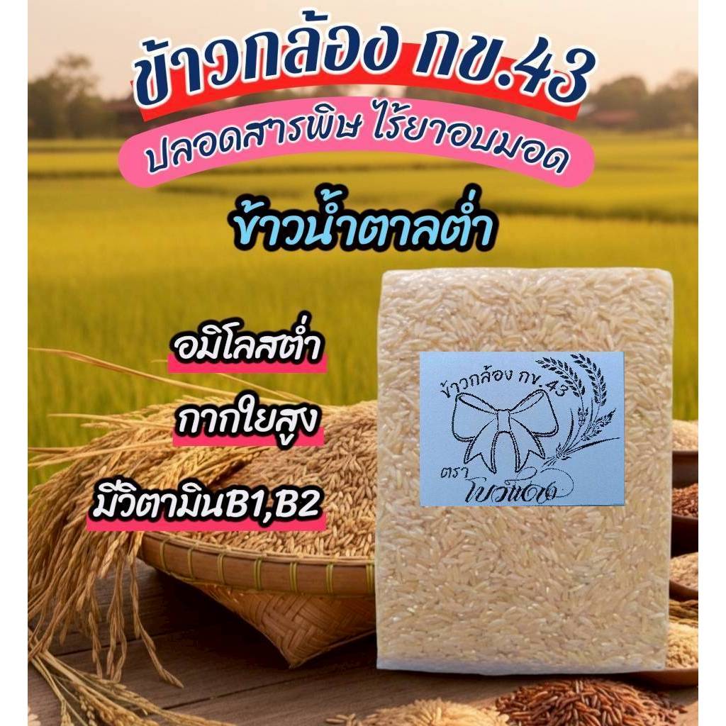 ข้าวกล้อง กข.43 ตรา โบว์แดง ข้าวน้ำตาลต่ำคัดพิเศษ ปลอดสาร ไร้ยาอบมอด หอม นุ่ม หุงอร่อย