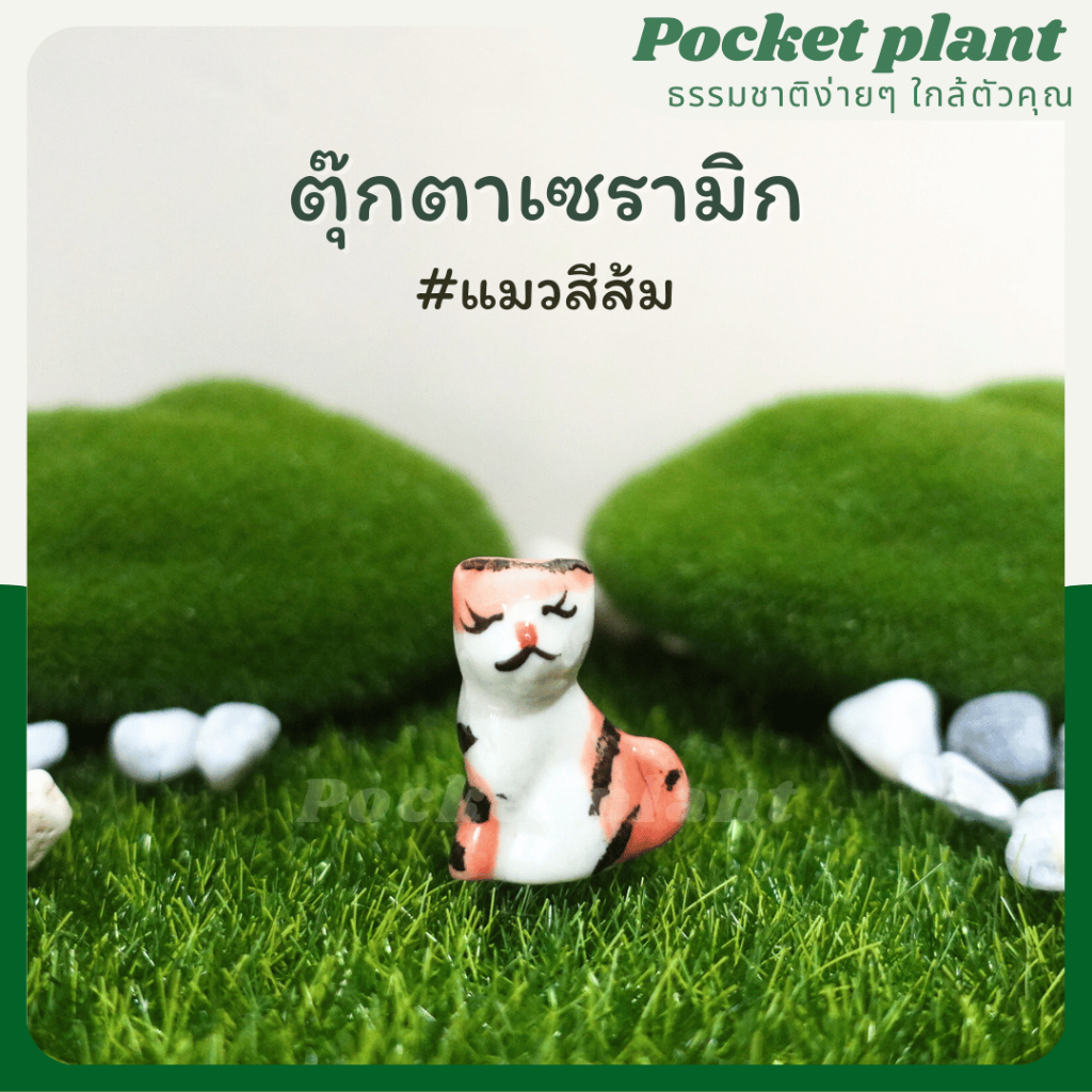 มุมมอง 7