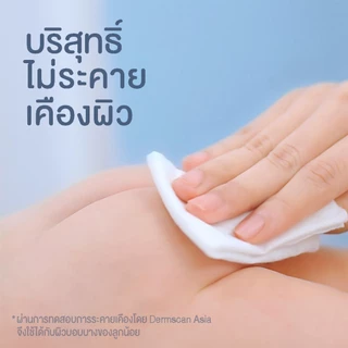 (หมด)MamyPoko Wipes Premium Soft มามี่โพโค ไวพส์ ทิชชู่เปียก พรีเมี่ยม ซอฟท์ 80 ชิ้น (12 แพ็ค)