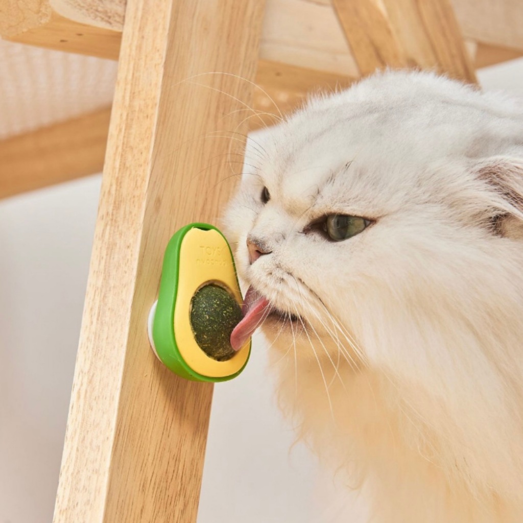 MG-1536 แคทนิปอโวคาโด ลูกบอลแมว แบบเลีย กลิ่นหอม กระตุ้นการเล่น 😺✨ พร้อมส่ง