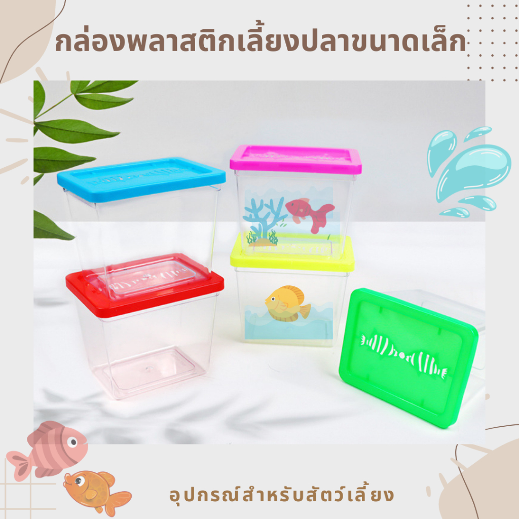 กล่องพลาสติกเลี้ยงปลาขนาดเล็ก ตู้ปลา กล่องใส่ปลากัด  ใส่สัตว์เลี้ยงขนาดเล็ก