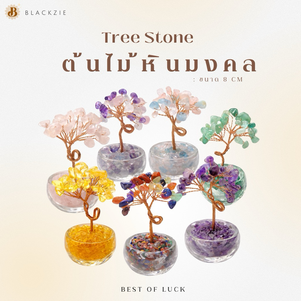 ต้นไม้หินมงคล (Mini พร้อมกล่อง) ของขวัญมงคล แต่งบ้าน เสริมดวง โชคลาภ การเงิน ความรัก