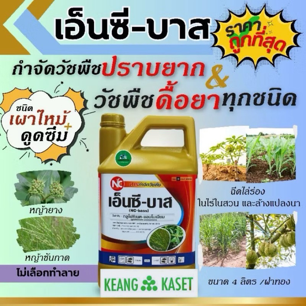 กลูโฟซิเนตแอมโมเนียม (เอ็นซีบาส สีทอง) ชนิดเข้มข้นดูดซึมไวสูตรทนฝนสารกำจัดวัชพืชปราบยากและวัชพืชดื้อยาทุกชนิด