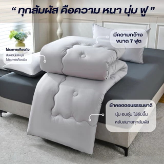 ผ้านวม รุ่นCotton พรีเมียม จากQUILT&CO BEDDINGDREAM ขนาด7ฟุต (210*240 cm) ผ้านวมคุณภาพสูง นุ่มสบาย