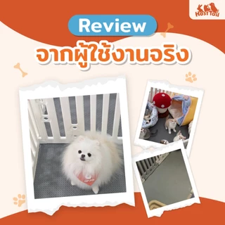 HostTail แผ่นยางกันลื่น EVA พอดีคอก ใช้สีปลอดสารพิษ non-toxic ปลอดภัยต่อสัตว์เลี้ยง
