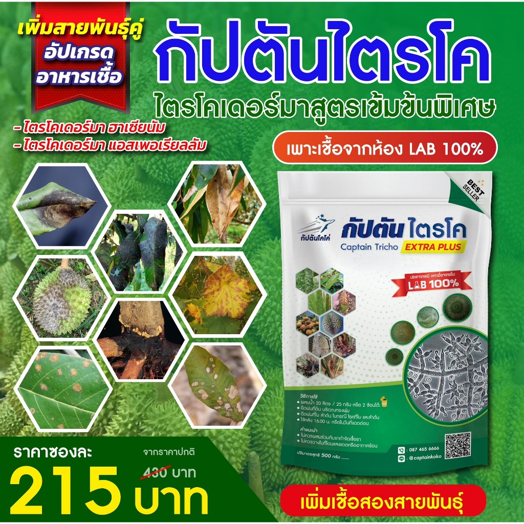 ไตรโคเดอร์ม่า เพิ่มเชื้อสองสายพันธุ์ กัปตันไตรโค ป้องกันเชื้อรา สูตรเข้มข้น แบบผง 100กรัม / 500กรัม รูปที่ 7