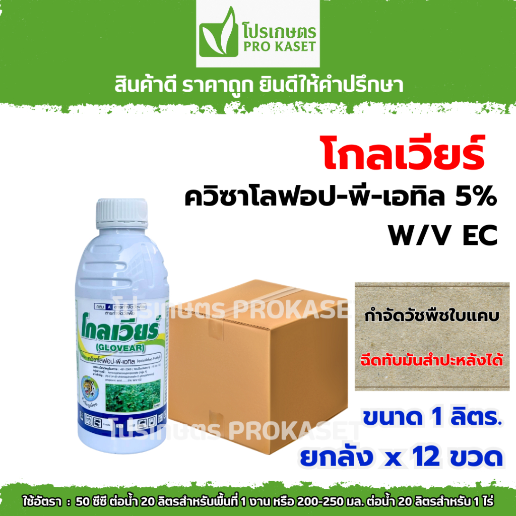 **ยกลัง12ขวด**โกลเวียร์ 1 ลิตร (ควิซาโลฟอป-พี-เอทิล) สารกำจัดวัชพืชใบแคบทุกชนิด พ่นทับมันสำปะหลัง ถั่วเหลือง พืชใบกว้าง