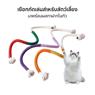 Pet Record เชือกขัดฟันแมว 60cm ผสมผลไม้แมว (Gall Fruit) เคี้ยวเพลิน ลดหินปูน คลายเครียด