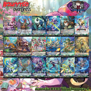 BT07 แยกใบ เนชั่น สโตยเคีย