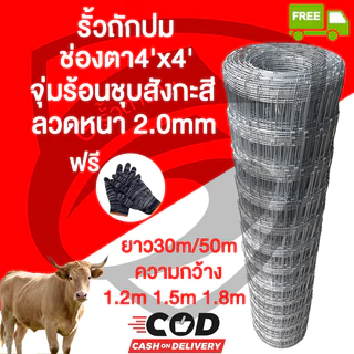 ส่งฟรี❗ช่องตา4'x4' รั้วถักปม รั้วตาข่ายแรงดึง ยาว30m/50m ลวดตาข่ายถักปม ลวดเหล็กล้อมรั้ว G รั้วตาข่าย ลวดล้อมคอกส