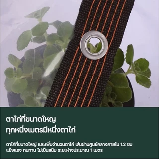 ผ้าใบกันแดดกันฝน พลาสติกใส ผ้าใบใส กันน้ำกันฝน100% วัสดุ PE คุณภาพสูง ผ้าใบกันแดดฝน 2m/3m/5m/6m