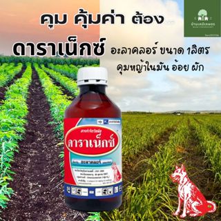 อะลาคลอร์ ดาราเน็กซ์ หญ้าคุมหญ้า ในไร่ผัก ไร่อ้อย ไร่มัน ขนา…