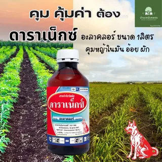 อะลาคลอร์ ดาราเน็กซ์ หญ้าคุมหญ้า ในไร่ผัก ไร่อ้อย ไร่มัน ขนาด1ลิตร