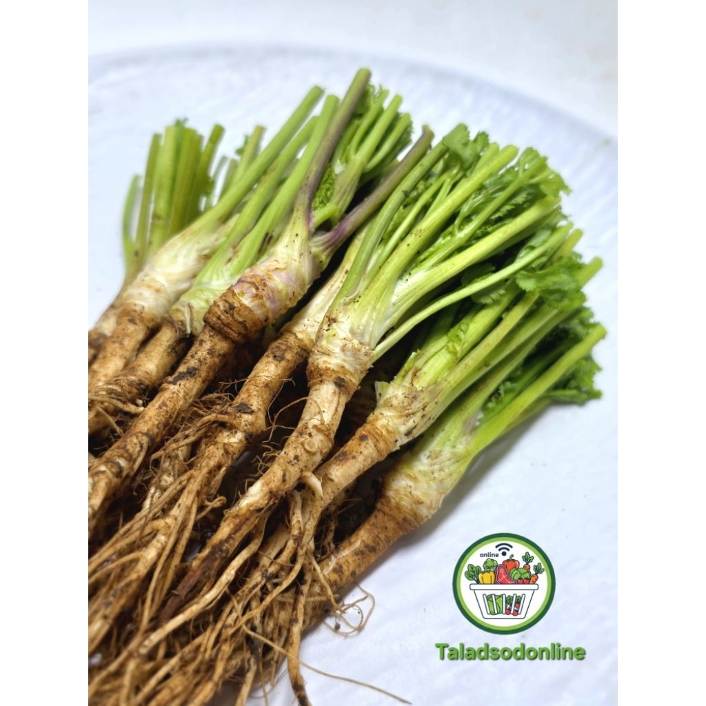 รากผักชี สด สะอาด รับประกันคุณภาพ - รูปที่ 2