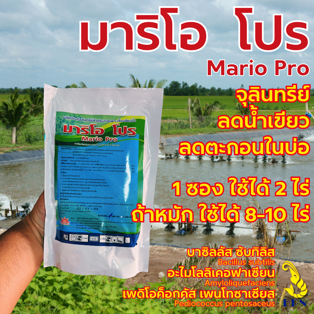 มาริโอ โปร จุลินทรีย์ผง 500 กรัม ควบคุม pH ลดน้ำเขียว จับตะกอน กินพื้นบ่อ และลดกลิ่นเหม็นในบ่อเลี้ยงสัตว์น้ำ