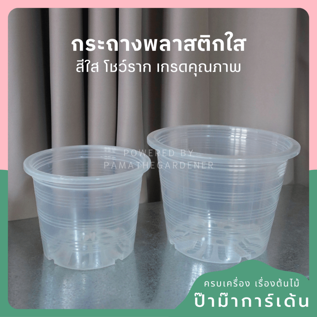 กระถางพลาสติกใส 10 นิ้ว แบบหนาพิเศษ – Clear Plastic Pot