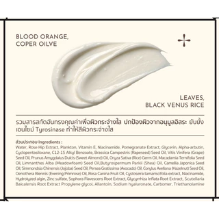 🤎✨ | พร้อมส่ง+ส่งฟรี | Nadese Vitamin E+White Cream ครีมนาเดเซ่ ครีมบำรุงผิวหน้าเนื้อเข้มข้น หน้าขาวใส ผิวเรียบเนียน15g
