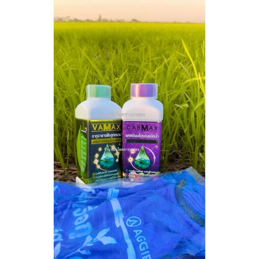 ปุ๋ยธาตุอาหารรวม VAMAX + แคลเซียมโบรอน CABMAX = 1 ฟรี 1