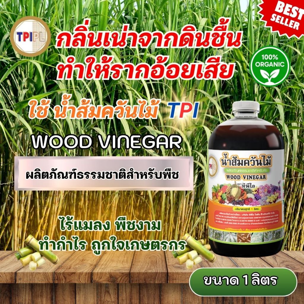 กลิ่นเน่าจากดินชื้น ทำให้รากอ้อยเสีย แก้ด้วยน้ำส้มควันไม้ปรับสมดุลดิน น้ำส้มควันไม้ TPI ขนาด 1 ลิตร
