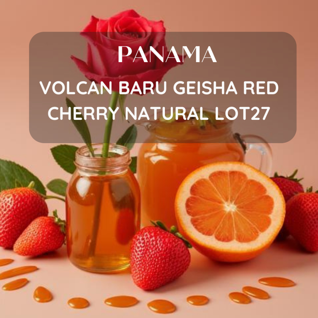 สารเมล็ดกาแฟ Panama Volcan Baru Geisha Red Cherry Natural - Lot27